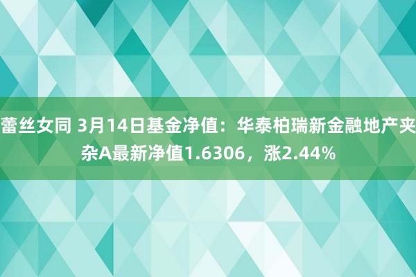 蕾丝女同 3月14日基金净值：华泰柏瑞新金融地产夹杂A最新净值1.6306，涨2.44%