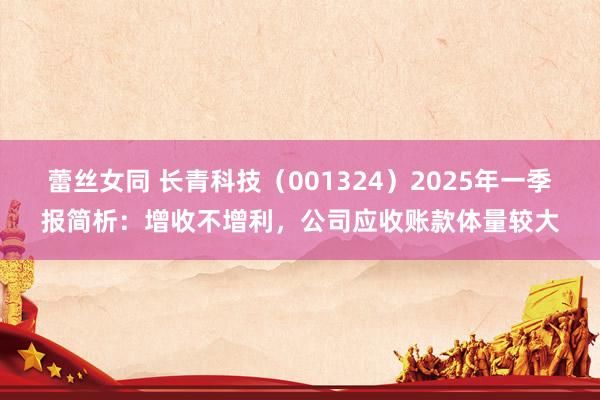 蕾丝女同 长青科技（001324）2025年一季报简析：增收不增利，公司应收账款体量较大
